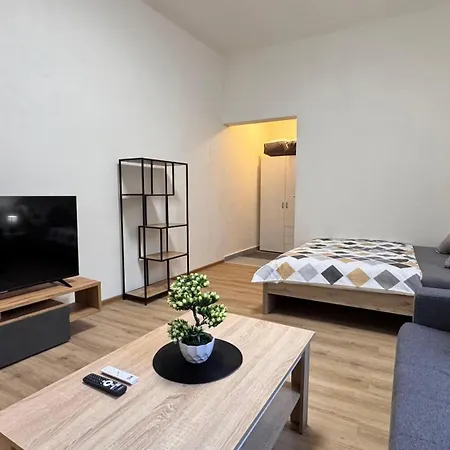 Apartment Apartmnet Near Ip Pavlova